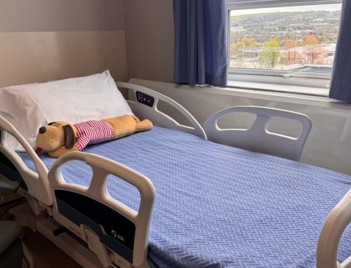 “The Introduction of a Cuddle Bed in a Paediatric Ward: Enhancing Family-Centred End-of-Life Care”